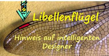 Libellenflgel-modernes Design-s