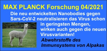 Max Planck-Forschung21