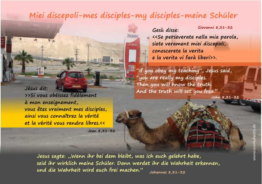 Miei discepoli-mes disciples-meine Schüler-my disciples