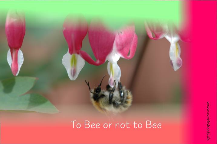 To Bee or not to Bee