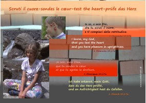 scruti ilcuore-sondes le coeur-test the heart-prüfe das Herz-s1