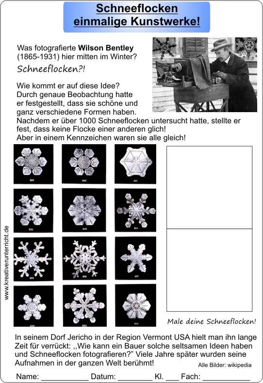 Schneeflocken - einmalig1